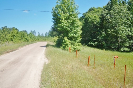 174 Acres Hunting Land on the Homochitto River Copiah Co. - image 3