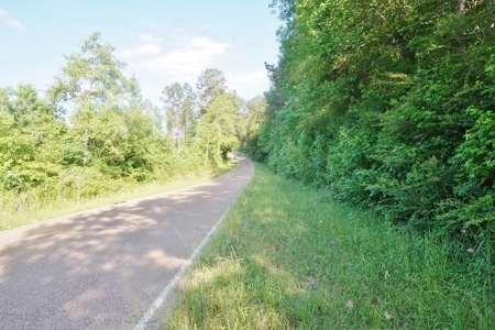 174 Acres Hunting Land on the Homochitto River Copiah Co. - image 37