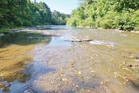 174 Acres Hunting Land on the Homochitto River Copiah Co. - image 1