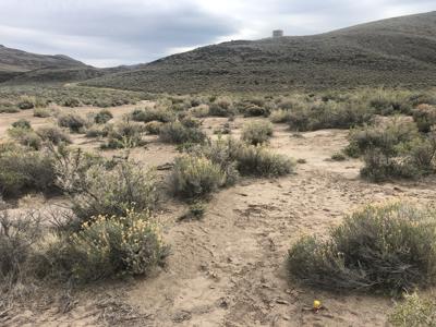 Buildable Nevada Land next to BLM For Sale Lyon County NV - image 4