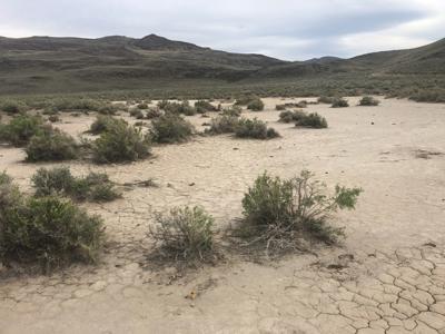 Buildable Nevada Land next to BLM For Sale Lyon County NV - image 6