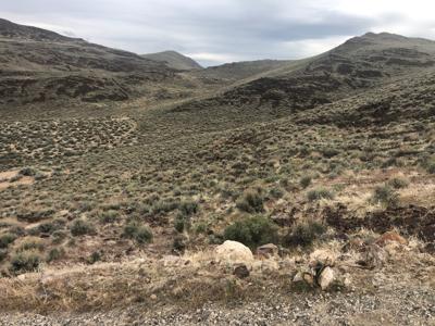 Buildable Nevada Land next to BLM For Sale Lyon County NV - image 14