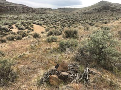 Buildable Nevada Land next to BLM For Sale Lyon County NV - image 12