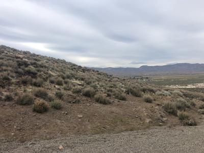 Buildable Nevada Land next to BLM For Sale Lyon County NV - image 10