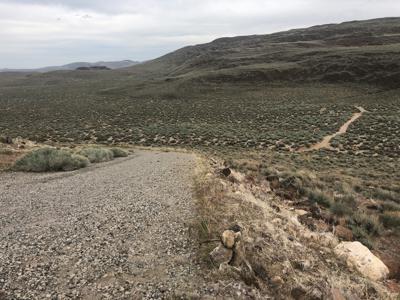 Buildable Nevada Land next to BLM For Sale Lyon County NV - image 13