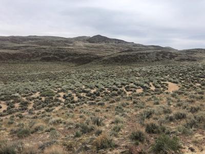 Buildable Nevada Land next to BLM For Sale Lyon County NV - image 8