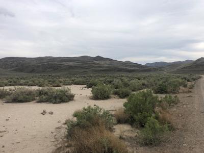 Buildable Nevada Land next to BLM For Sale Lyon County NV - image 3