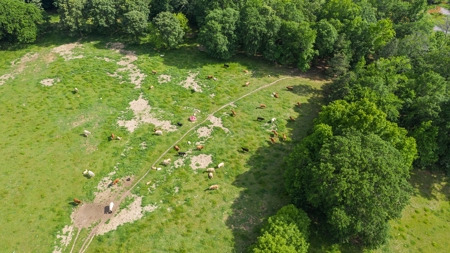 Texas Fishing Hunting Recreational and Cattle Ranch For Sale - image 28