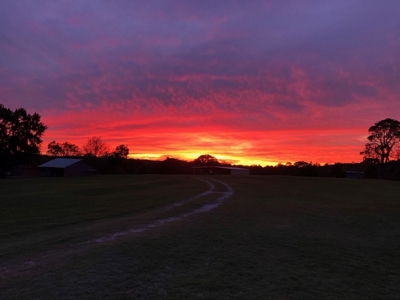 Texas Fishing Hunting Recreational and Cattle Ranch For Sale - image 50