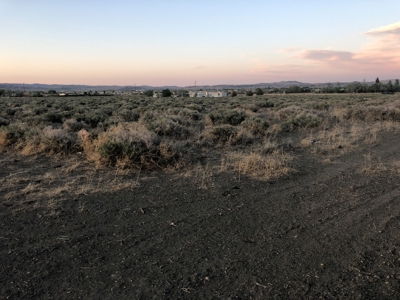 Buildable Land For Sale in Lyon County Nevada Lahontan Lake - image 1