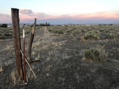 Buildable Land For Sale in Lyon County Nevada Lahontan Lake - image 11