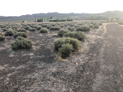 Buildable Land For Sale in Lyon County Nevada Lahontan Lake - image 13