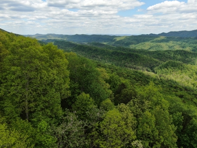 East Tennessee Mountain Property for Sale Mooresburg TN - image 7