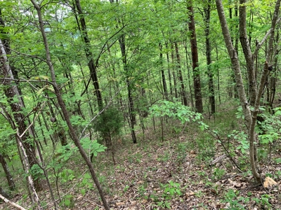 East Tennessee Mountain Property for Sale Mooresburg TN - image 20