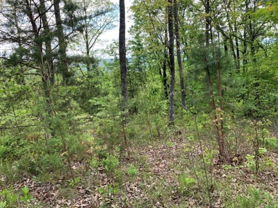 East Tennessee Mountain Property for Sale Mooresburg TN - image 1