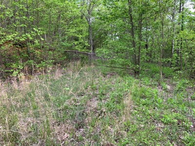 East Tennessee Mountain Property for Sale Mooresburg TN - image 30