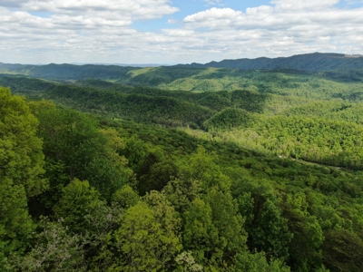 East Tennessee Mountain Property for Sale Mooresburg TN - image 6