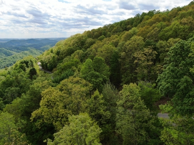 East Tennessee Mountain Property for Sale Mooresburg TN - image 14