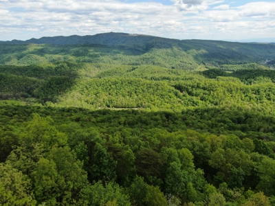 East Tennessee Mountain Property for Sale Mooresburg TN - image 4