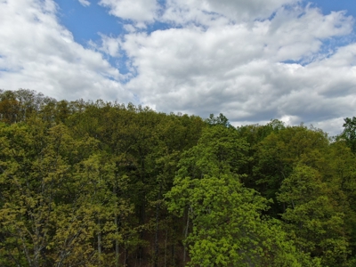 East Tennessee Mountain Property for Sale Mooresburg TN - image 10