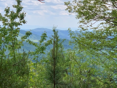 East Tennessee Mountain Property for Sale Mooresburg TN - image 29