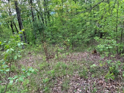 East Tennessee Mountain Property for Sale Mooresburg TN - image 36