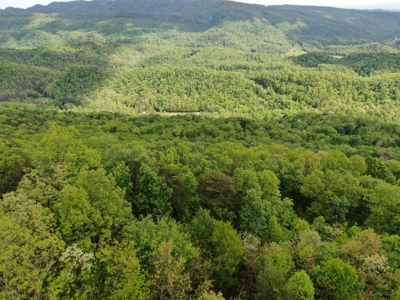 East Tennessee Mountain Property for Sale Mooresburg TN - image 3