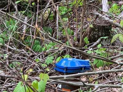 East Tennessee Mountain Property for Sale Mooresburg TN - image 33