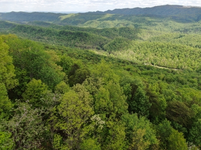 East Tennessee Mountain Property for Sale Mooresburg TN - image 5