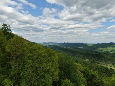 East Tennessee Mountain Property for Sale Mooresburg TN - image 8