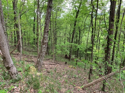 East Tennessee Mountain Property for Sale Mooresburg TN - image 21