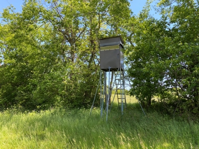 Tennessee Farm For Sale With Multiple Cabins - image 46