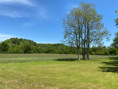Tennessee Farm For Sale With Multiple Cabins - image 16