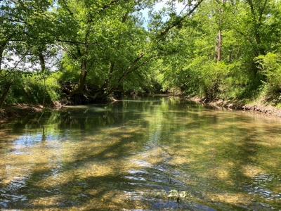 Tennessee Farm For Sale With Multiple Cabins - image 47