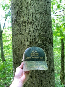 Tennessee Farm For Sale With Multiple Cabins - image 44