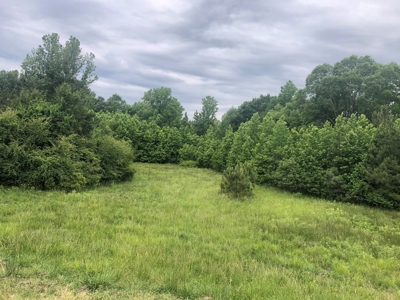 Country Ranch Home with Acreage For Sale, Cass County, Texas - image 11