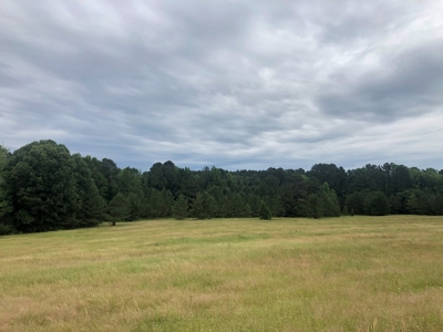 Country Ranch Home with Acreage For Sale, Cass County, Texas - image 14