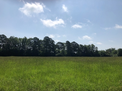 Country Ranch Home with Acreage For Sale, Cass County, Texas - image 3