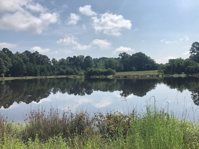 Country Ranch Home with Acreage For Sale, Cass County, Texas