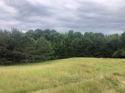 Country Ranch Home with Acreage For Sale, Cass County, Texas - image 2