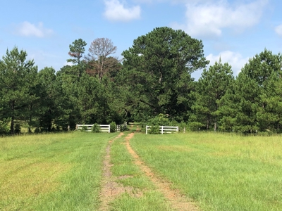 Country Ranch Home with Acreage For Sale, Cass County, Texas - image 9