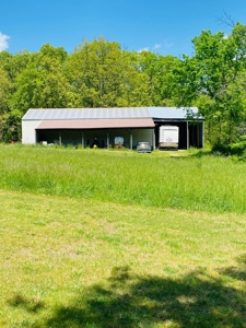 40 Acre Hobby Farm Summersville, Missouri - image 5