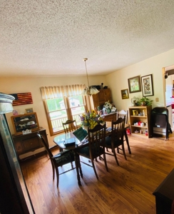 40 Acre Hobby Farm Summersville, Missouri - image 9