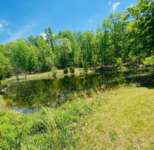40 Acre Hobby Farm Summersville, Missouri - image 3