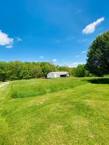 40 Acre Hobby Farm Summersville, Missouri - image 4