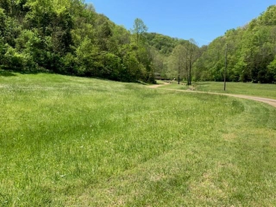 Hunting & Recreational Ranch with Home For Sale in Hilham TN - image 49