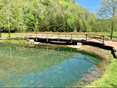 Hunting & Recreational Ranch with Home For Sale in Hilham TN - image 50