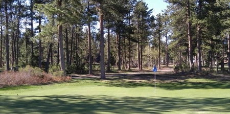 Build Your Getaway on the 15th Green! - image 10