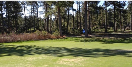 Build Your Getaway on the 15th Green! - image 7