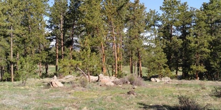 Build Your Getaway on the 15th Green! - image 11